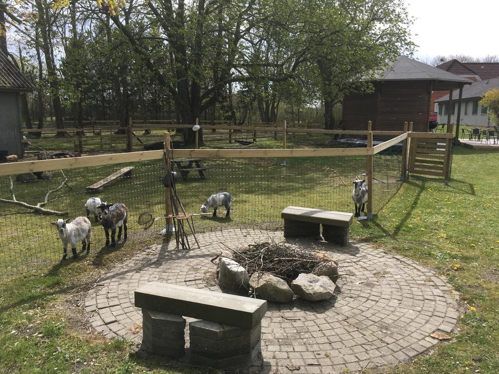 Hestkaer Family Rooms Summer Camp Krogager 外观 照片