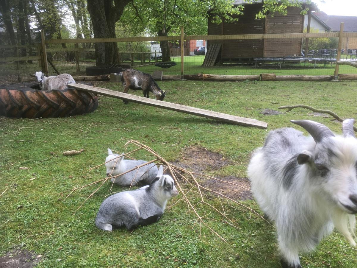 Hestkaer Family Rooms Summer Camp Krogager 外观 照片