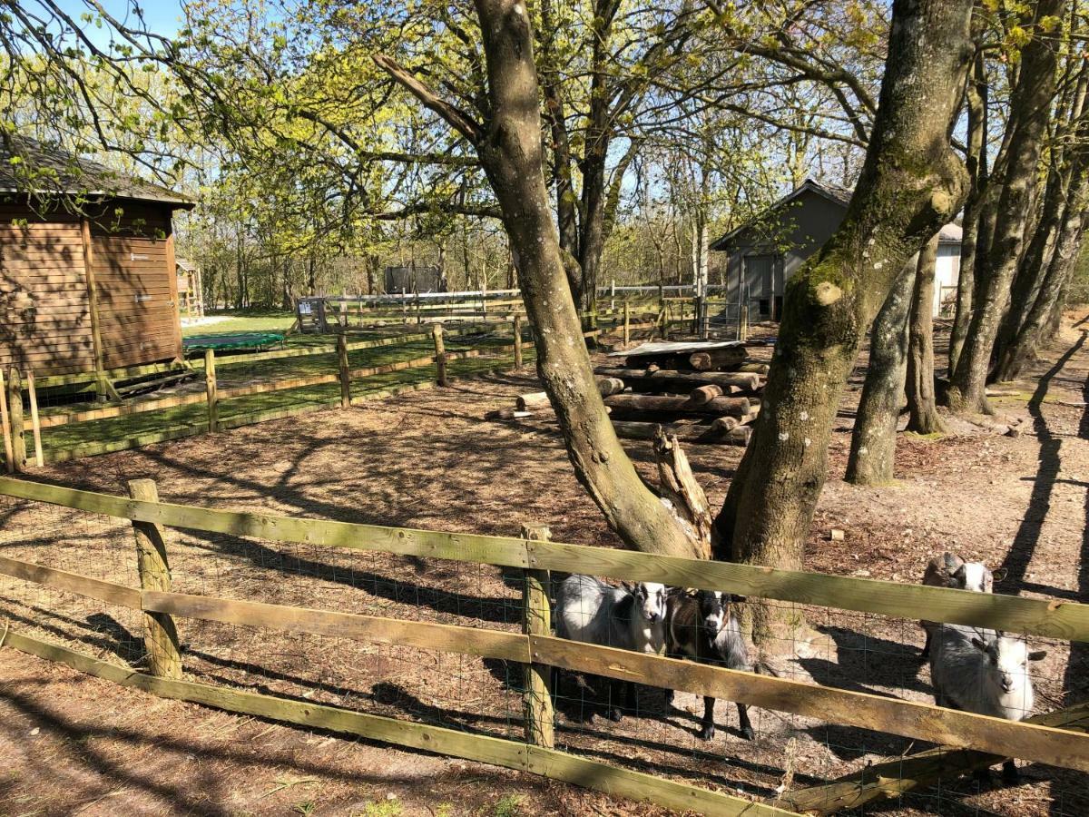Hestkaer Family Rooms Summer Camp Krogager 外观 照片