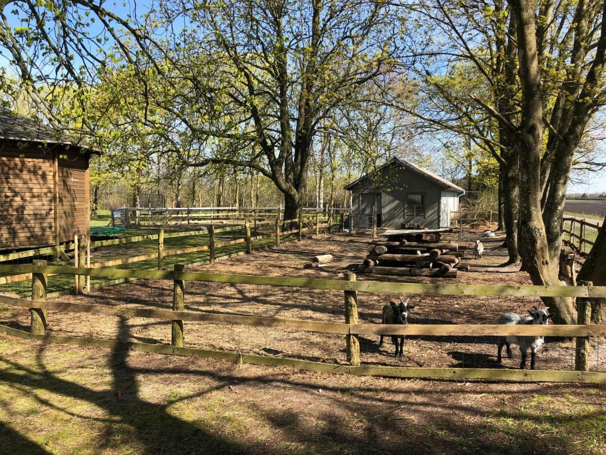 Hestkaer Family Rooms Summer Camp Krogager 外观 照片